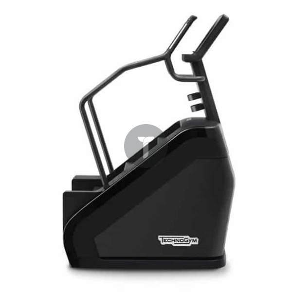 Technogym DreamHouse Technogym Artis Climb Artis