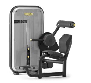 Technogym Гиперэкстензия