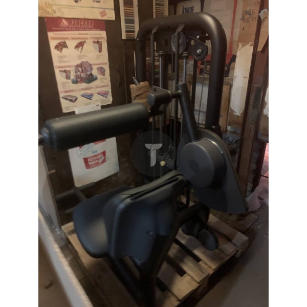 Technogym Гиперэкстензия