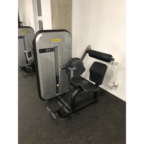 Technogym Гиперэкстензия