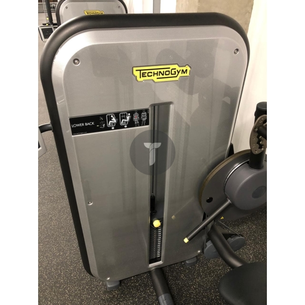 Technogym Гиперэкстензия
