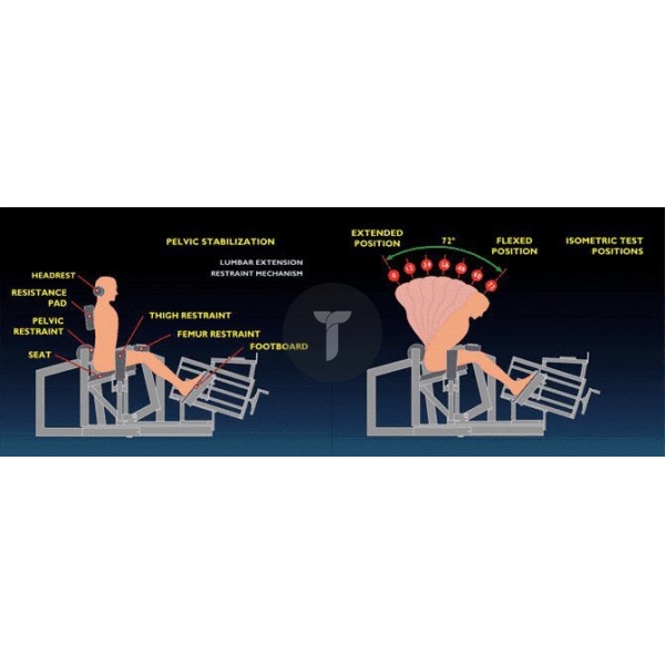 Терапевтическое устройство MedX Lumbar Extension (LE)