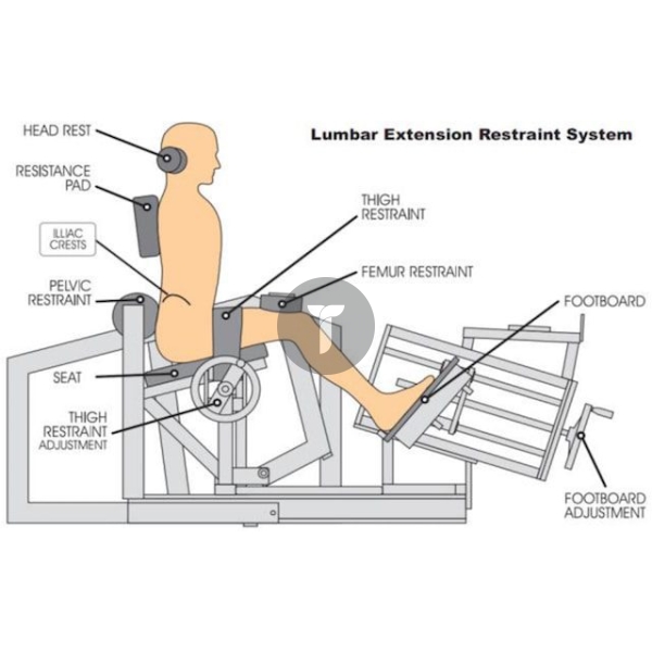 Терапевтическое устройство MedX Lumbar Extension (LE)
