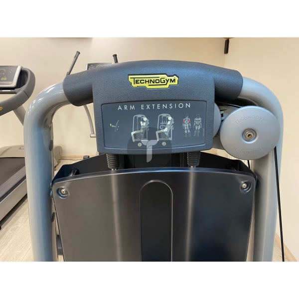 Трицепс Technogym серии Selection