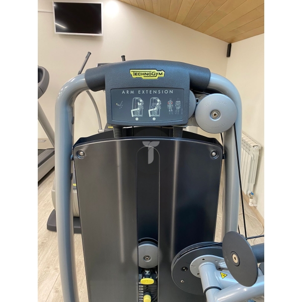 Трицепс Technogym серии Selection