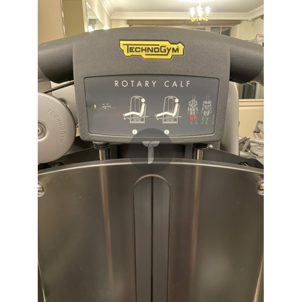 Икры сидя Technogym серии Selection