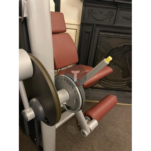 Разгибание ног Technogym серии Selection