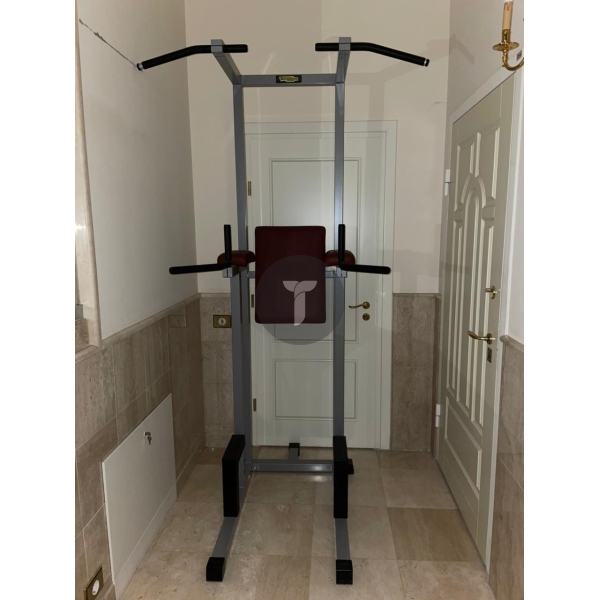 Стойка Technogym для подтягиваний и подъёма коленей