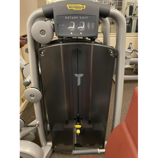 Икры сидя Technogym серии Selection