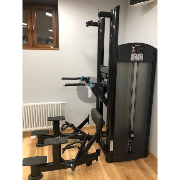 Подтягивание с противовесом Life Fitness Signature Series