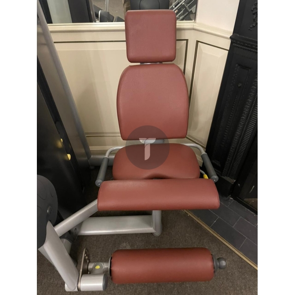 Разгибание ног Technogym серии Selection