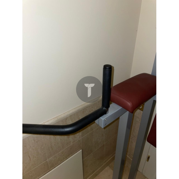 Стойка Technogym для подтягиваний и подъёма коленей