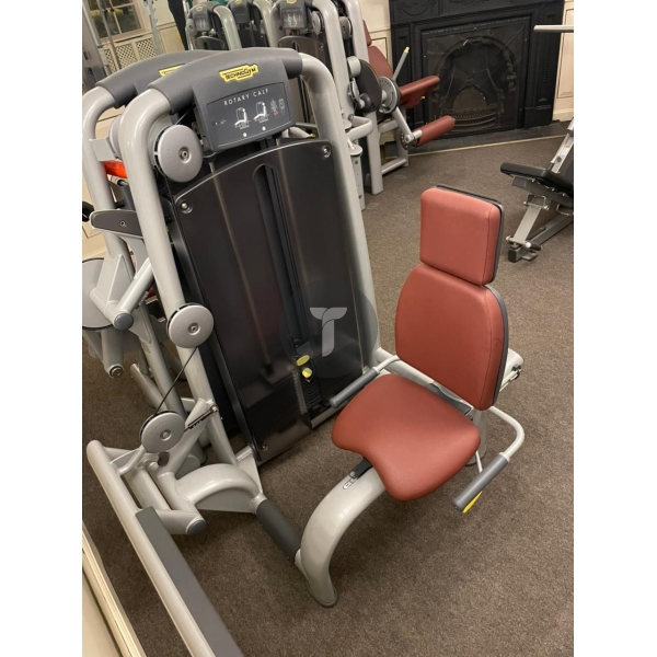 Икры сидя Technogym серии Selection