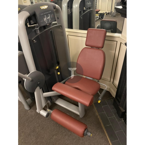 Разгибание ног Technogym серии Selection