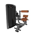 Разгибание спины Life Fitness Insignia Series