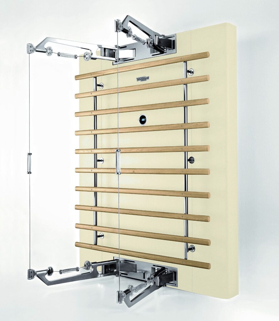 Technogym Kinesis Personal со шведской стенкой