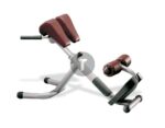 Скамья гиперэкстензия Technogym Selection