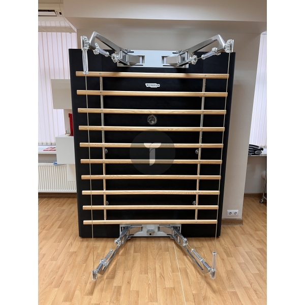Technogym Kinesis Personal со шведской стенкой