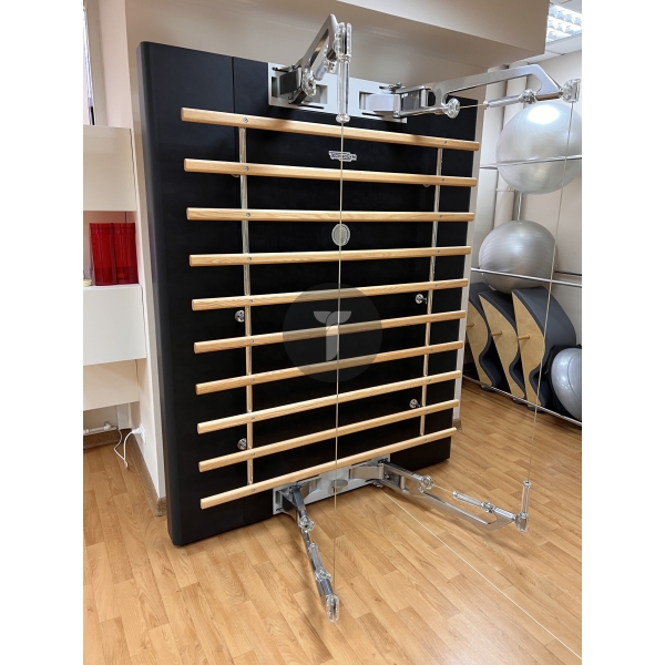 Technogym Kinesis Personal со шведской стенкой