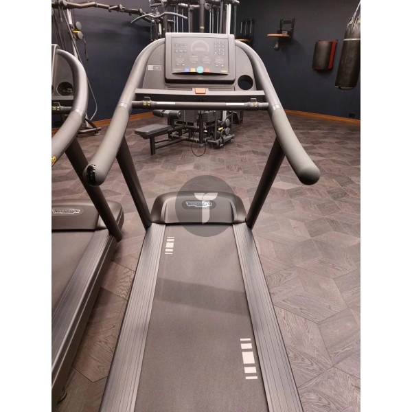 Дорожки Technogym Run 600