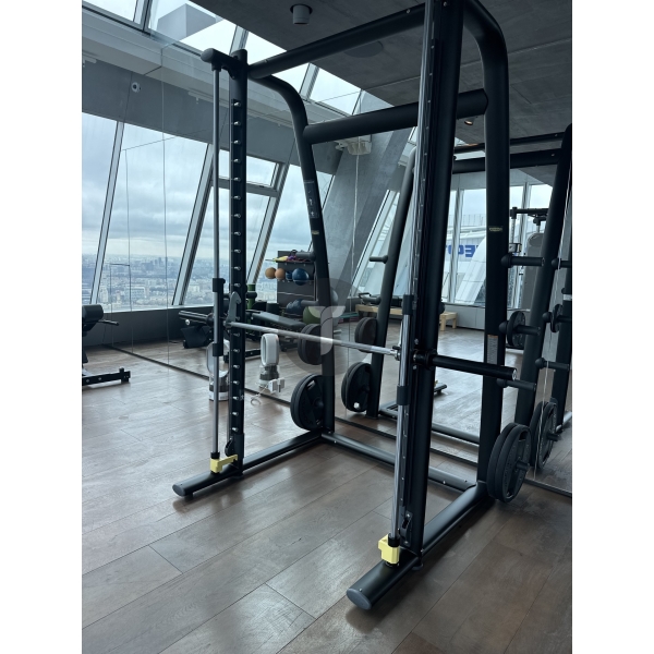 Cмит Technogym Multipower
