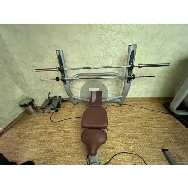 Скамья для жима со стойкой Technogym Selection