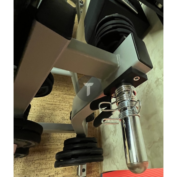 Блины Technogym с ручками со стойкой