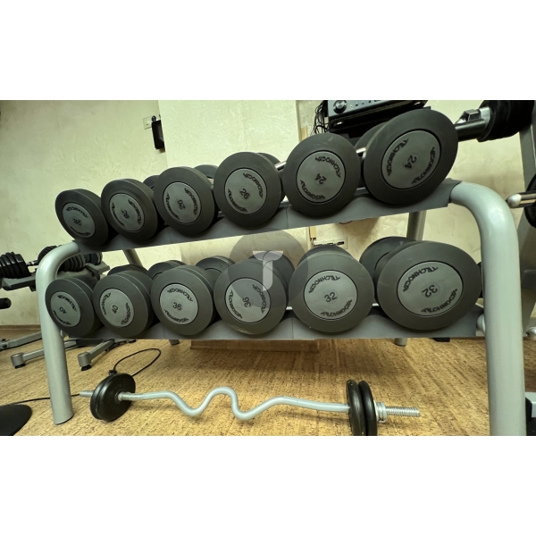 Гантельный ряд Technogym 6 пар со стойкой
