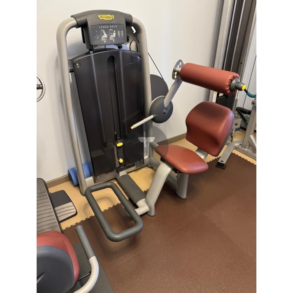 Technogym Selection Разгибание спины сидя