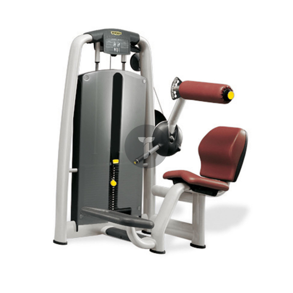 Technogym Selection Разгибание спины сидя