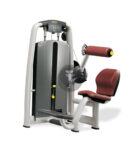 Technogym Selection Разгибание спины сидя